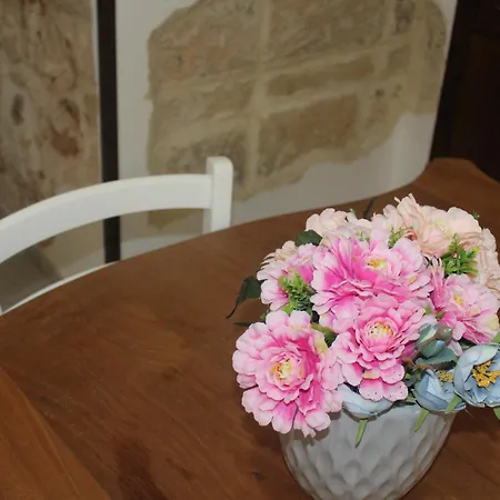 Maison Cherie Parabita