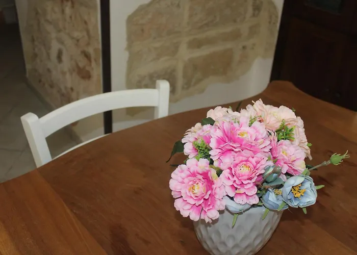 Maison Cherie Parabita